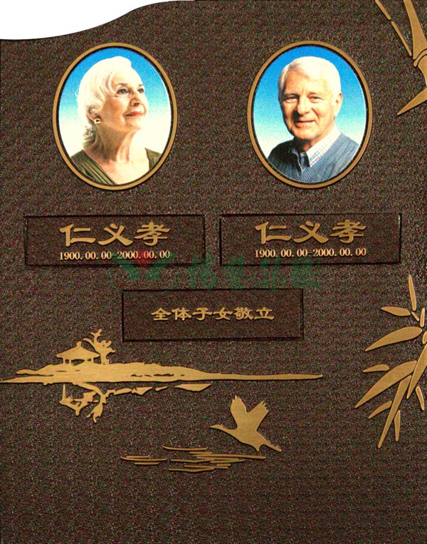 1-2203030U354215 首页- Z6官网中国区人生就是博