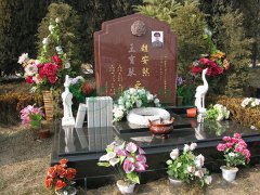 赵安然
