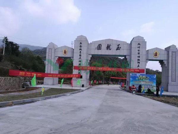首页- Z6官网中国区人生就是博