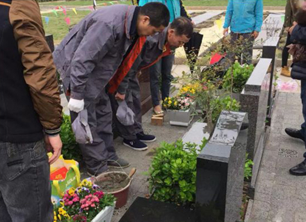 首页- Z6官网中国区人生就是博