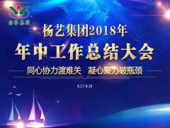 Z6官网集团2018年中总结报告（摘要）
