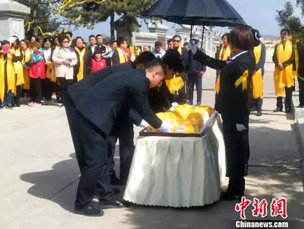 首页- Z6官网中国区人生就是博