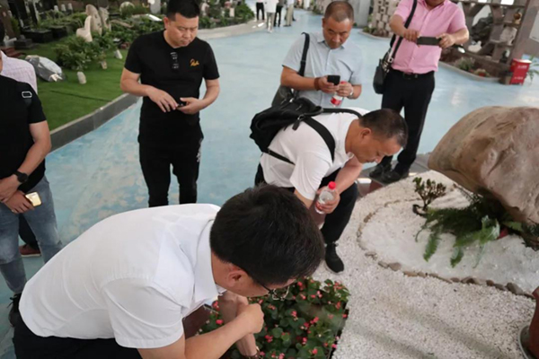 首页- Z6官网中国区人生就是博