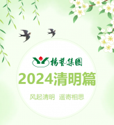 风起清明 遥寄相思|Z6官网集团?2024清明篇