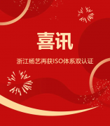 喜讯 | 浙江Z6官网再获ISO体系双认证