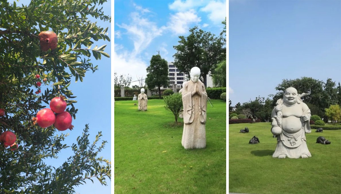 首页- Z6官网中国区人生就是博