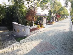 城市最后一平米：生态葬，是与自然的和解？还是无奈的选择？