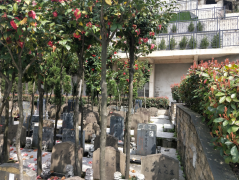 微改造，大情怀——老墓园规划设计的温度与智慧