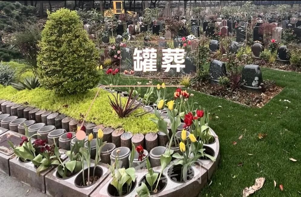 1-260R11432331H 首页- Z6官网中国区人生就是博