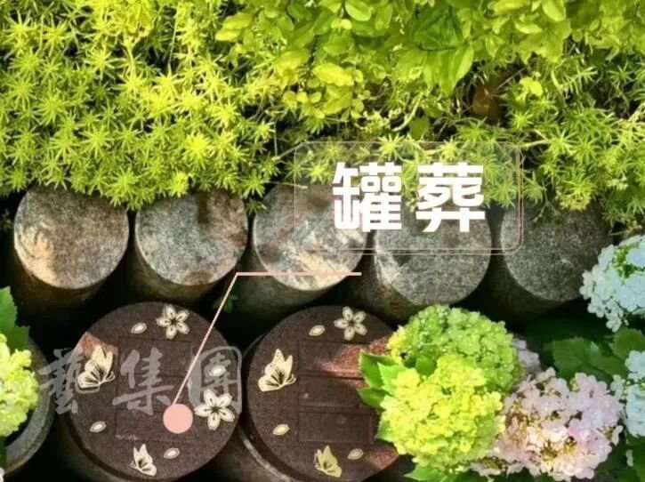 1-260R1143250303 首页- Z6官网中国区人生就是博