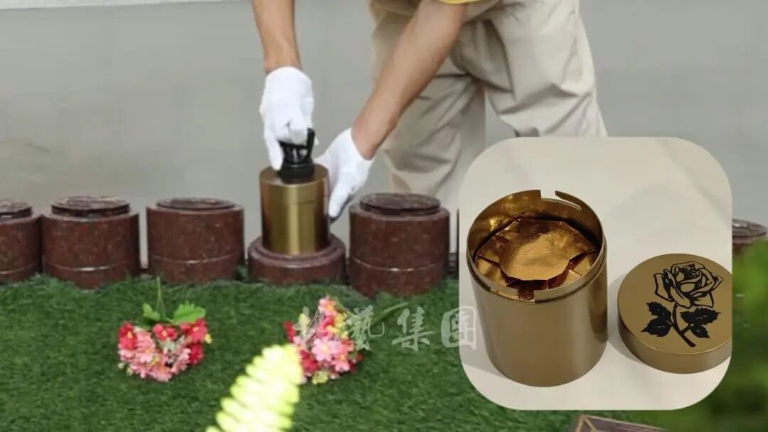 1-260R1143303529 首页- Z6官网中国区人生就是博