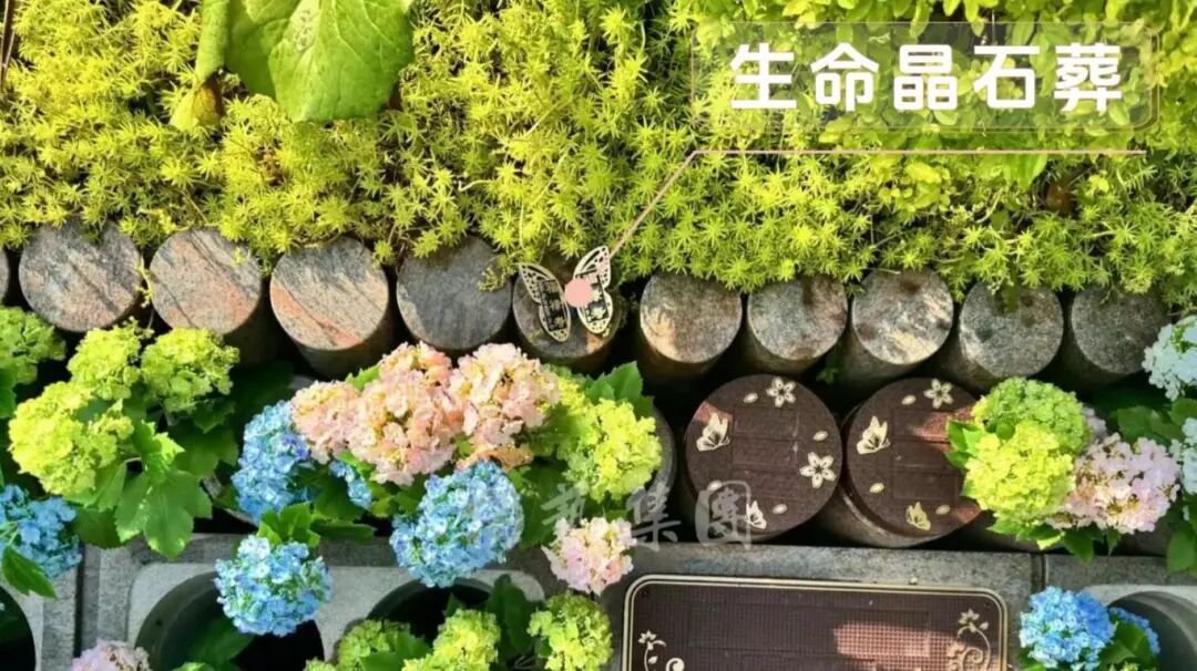 1-260R1143316435 首页- Z6官网中国区人生就是博