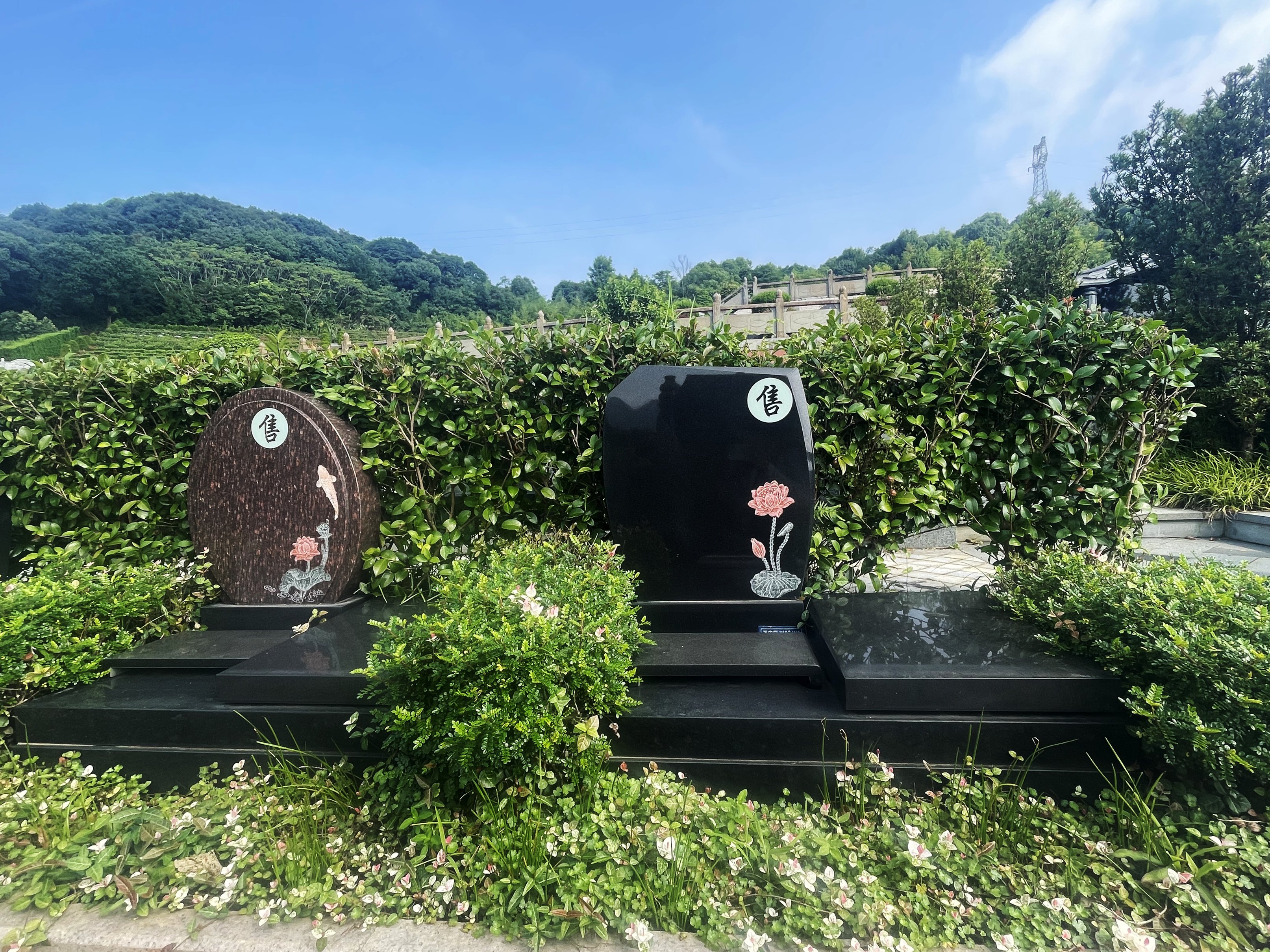 1-2609100UAMH 首页- Z6官网中国区人生就是博
